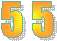   5 5